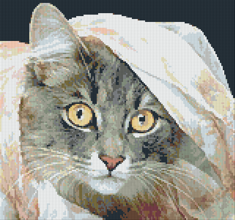 Pixelhobby Classic Template - Peek-a-boo Cat
