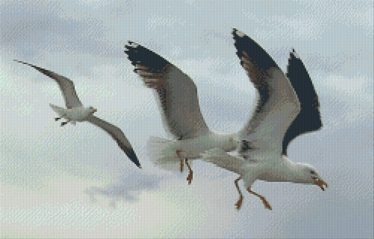 Pixel hobby classic set - seagulls