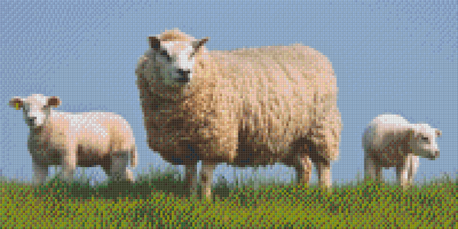 Pixelhobby classic set - sheep with lambs