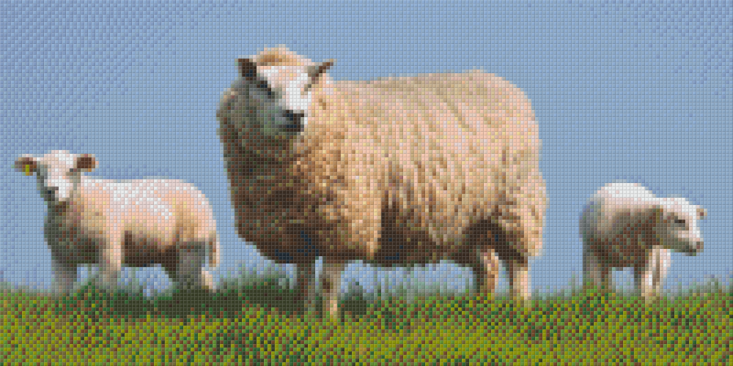 Pixelhobby Klassik Vorlage - Schafe mit Lämmern
