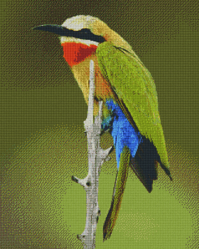 Pixel hobby classic set - bird