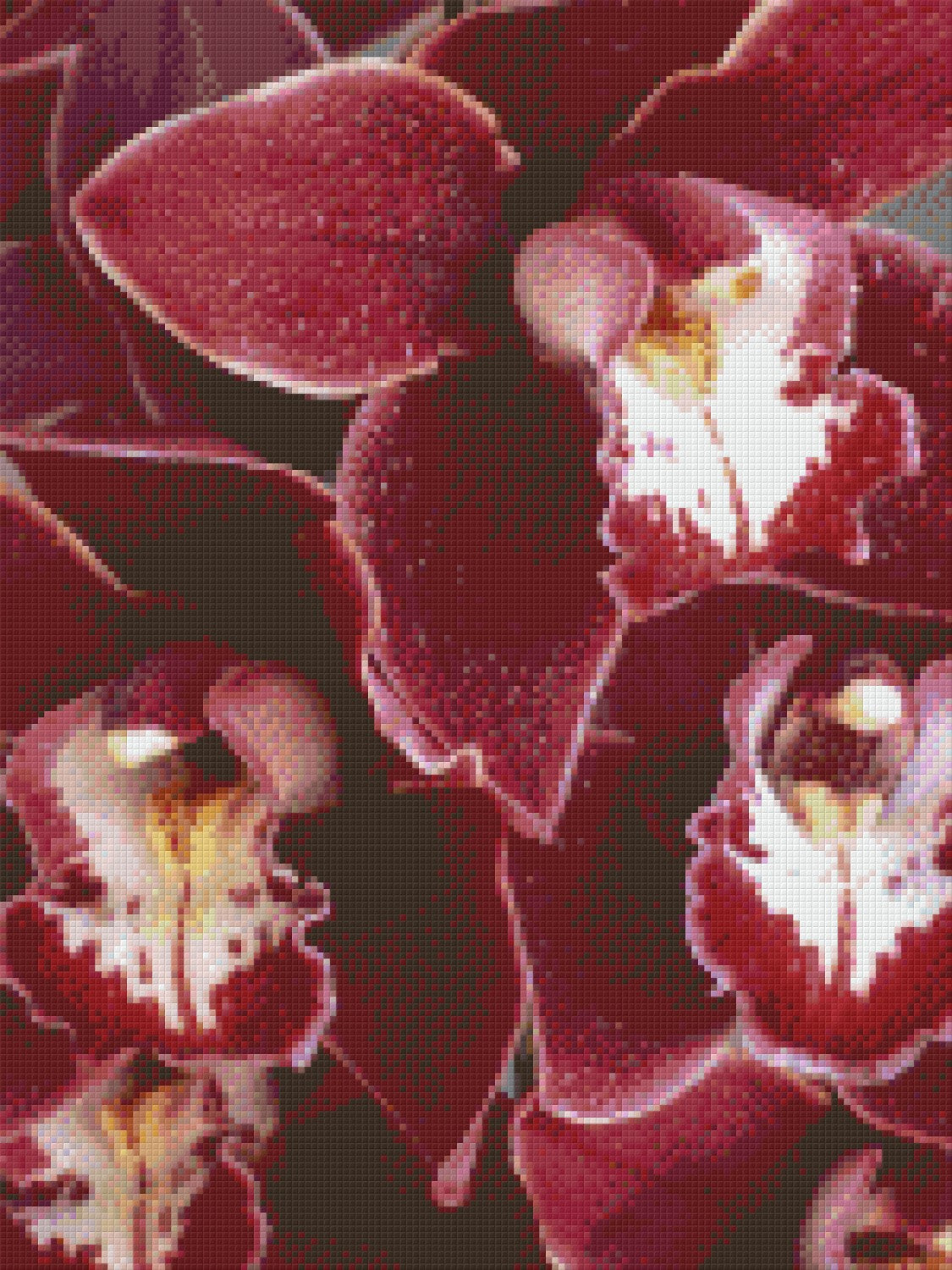 Pixelhobby classic set - orchids