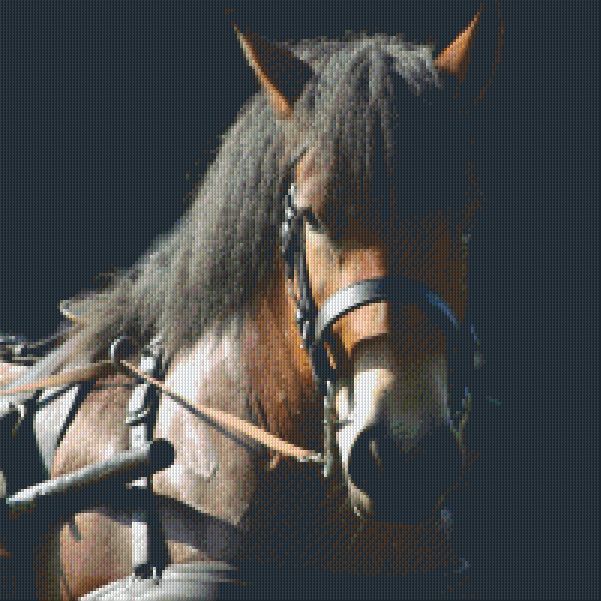 Pixelhobby classic set - draft horse
