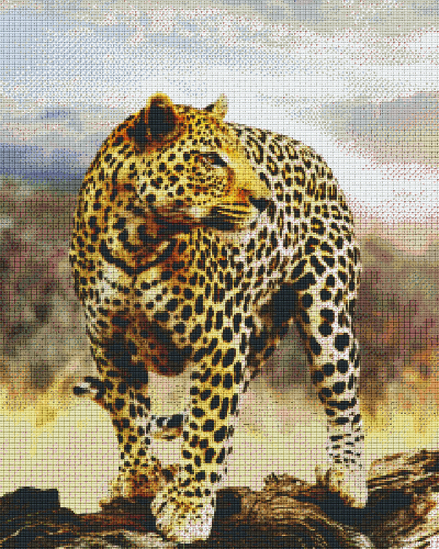 Pixel Hobby Classic Set - Leopard