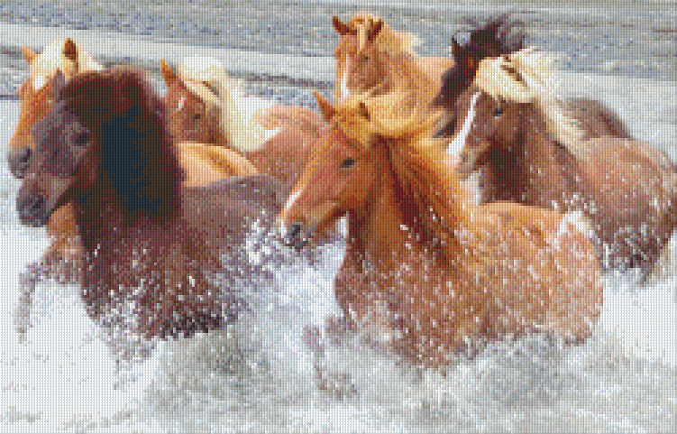 Pixelhobby classic set - horses in the lake
