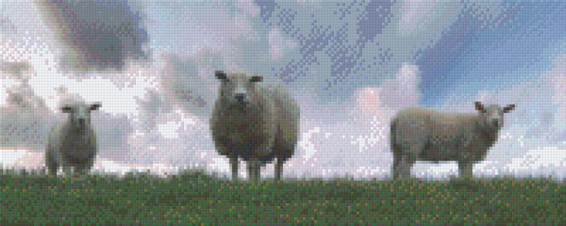Pixelhobby Klassik Vorlage - Schafe auf der Weide