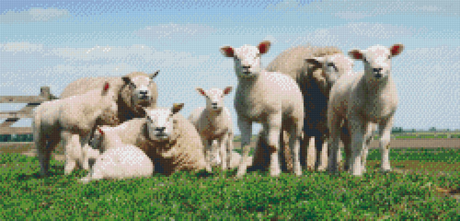 Pixel hobby classic set - sheep on the pasture
