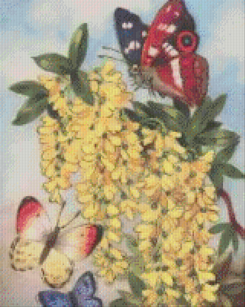 Pixelhobby classic set - laburnum with butterfly