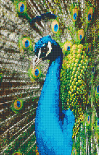 Pixel hobby classic set - peacock
