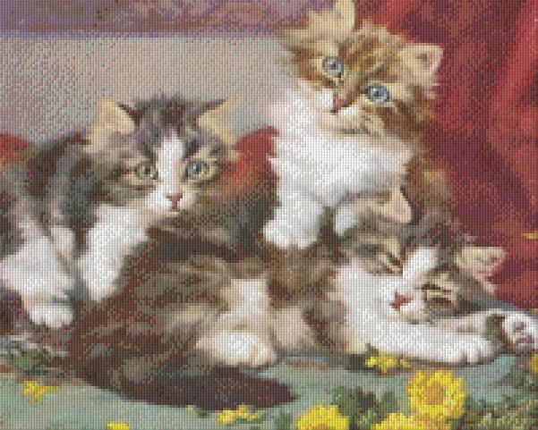 Pixel hobby classic set - kitten