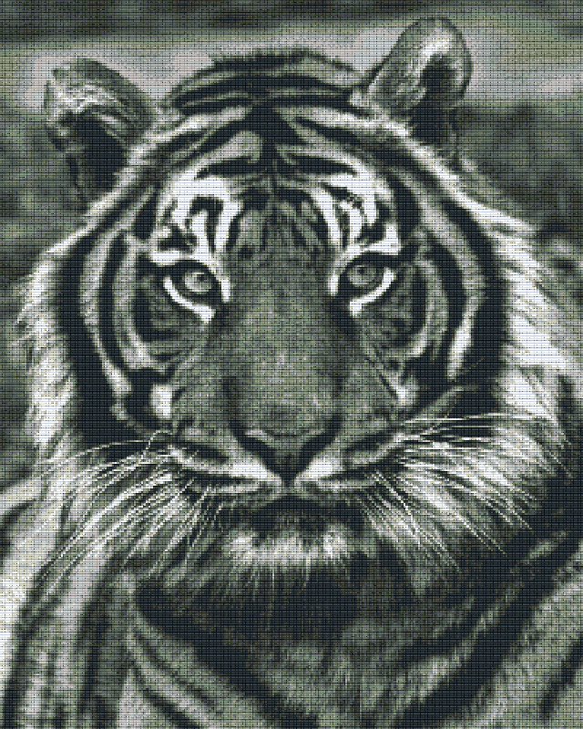 Pixelhobby Classic Set - Tiger b/w