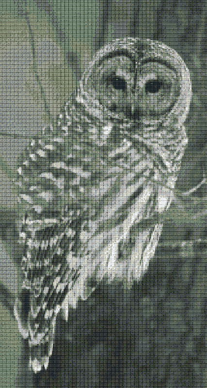 Pixelhobby Classic Set - Owl b/w