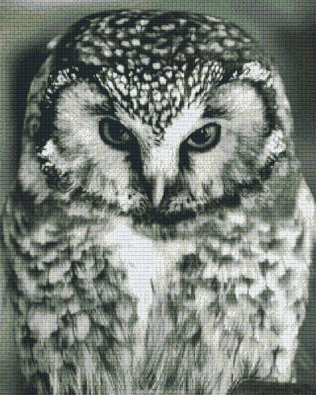 Pixelhobby Classic Set - Owl b/w