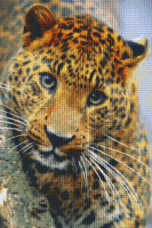 Pixelhobby Klassik Vorlage - Leopard