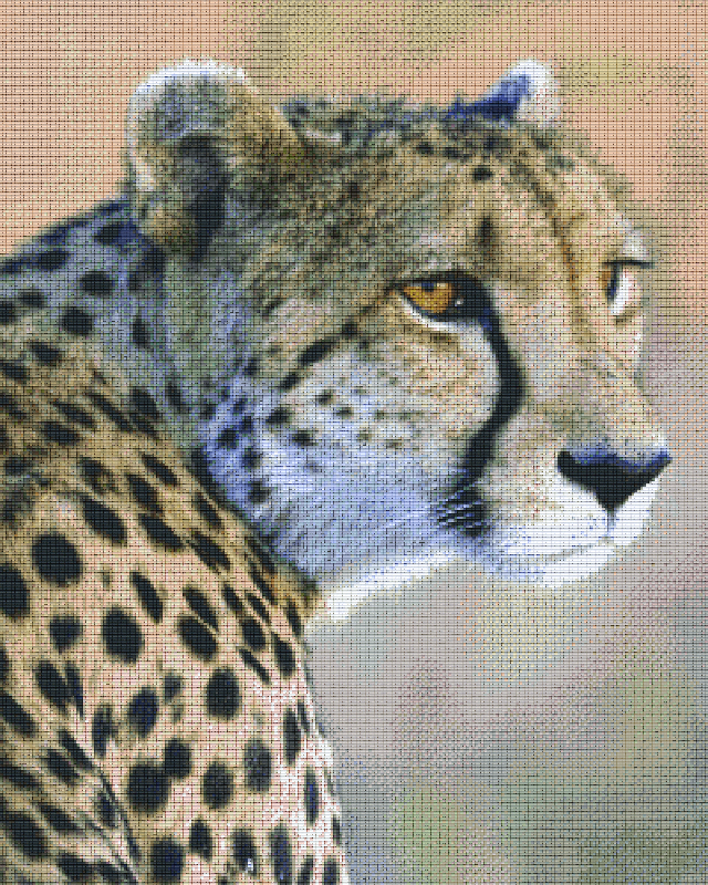 Pixel Hobby Classic Set - Leopard