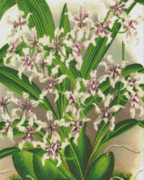 Pixelhobby classic set - orchids