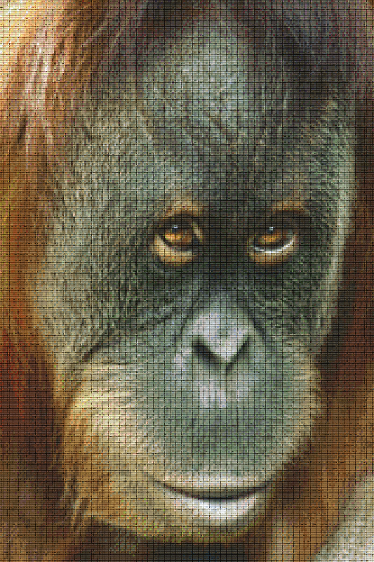 Pixelhobby Klassik Vorlage - Orang Utan