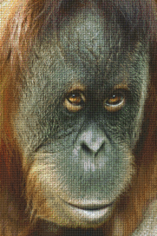 Pixel hobby classic set - orangutan