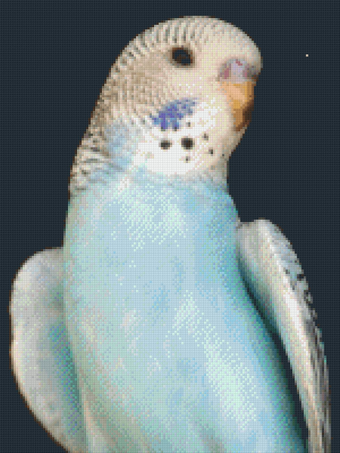 Pixelhobby Classic Set - Budgie