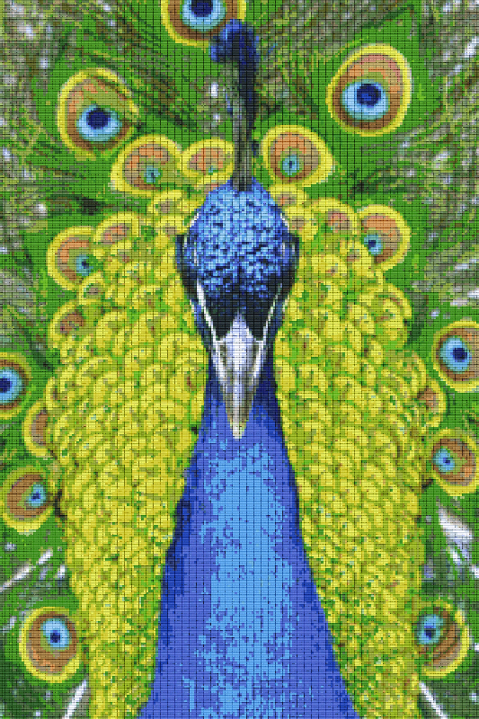 Pixelhobby Klassik Set - Pfau