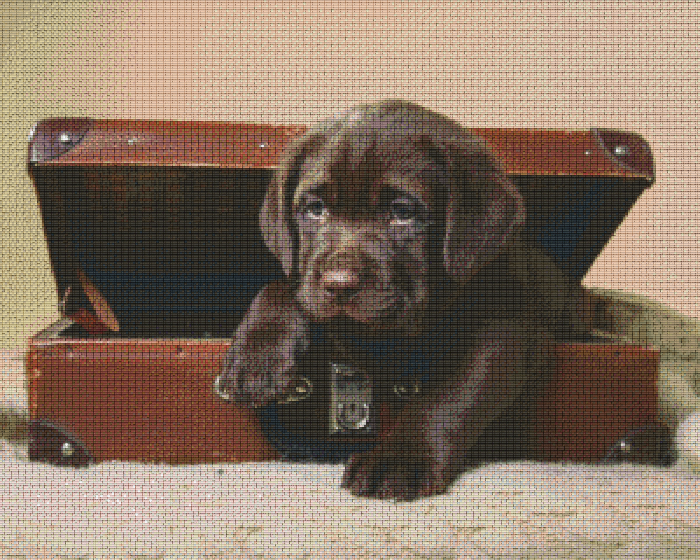 Pixelhobby classic set - dog in a suitcase