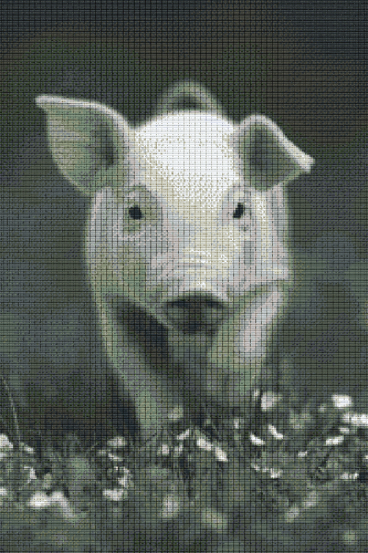 Pixelhobby Classic Set - Pig b/w