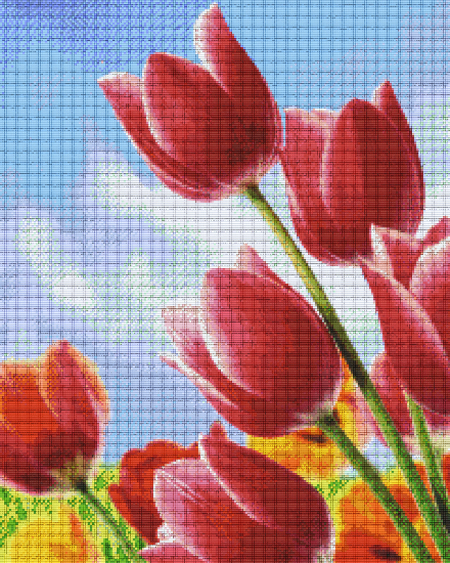 Pixelhobby Klassik Vorlage - Tulpen