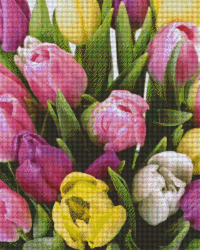 Pixelhobby classic set - bouquet of tulips