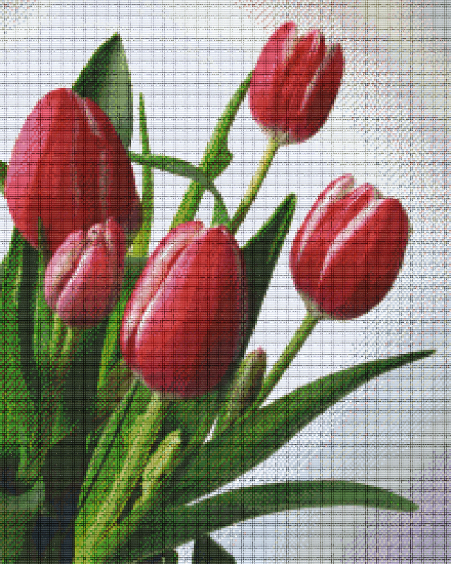 Pixelhobby Klassik Vorlage - Tulpen rot