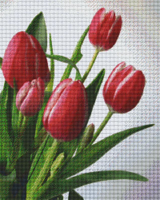 Pixelhobby Classic Set - Tulips red