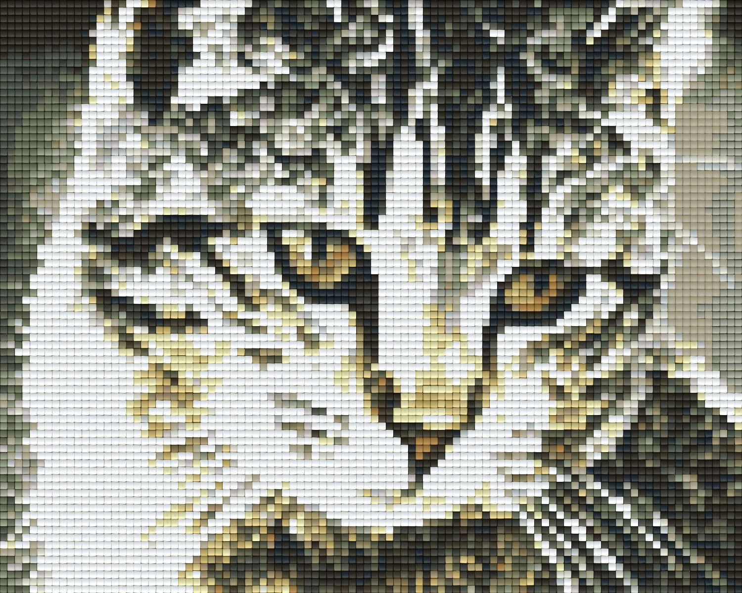 Pixel hobby classic set - cute cat