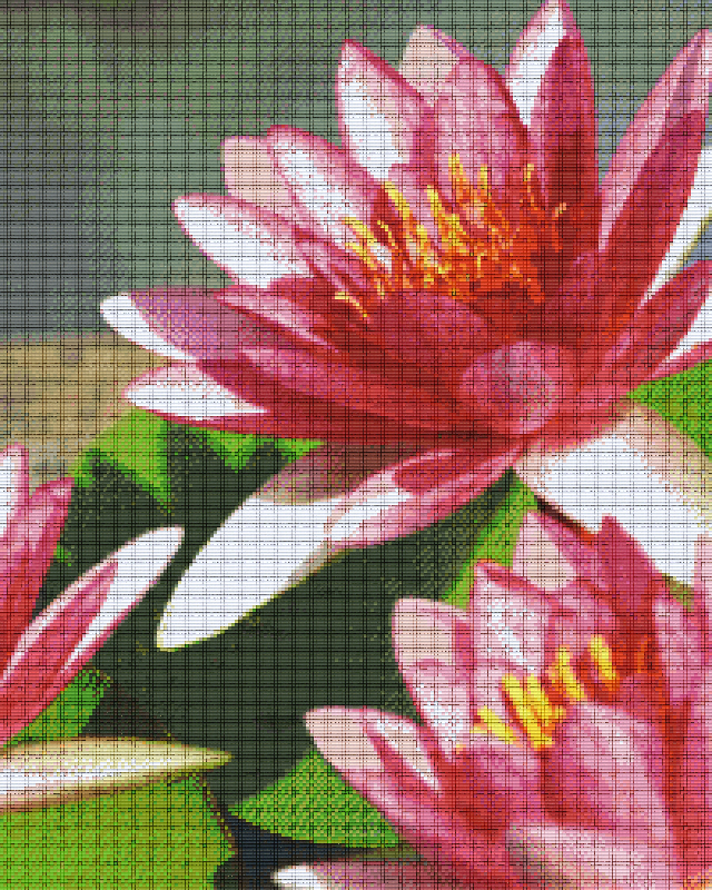 Pixelhobby classic set - water lilies