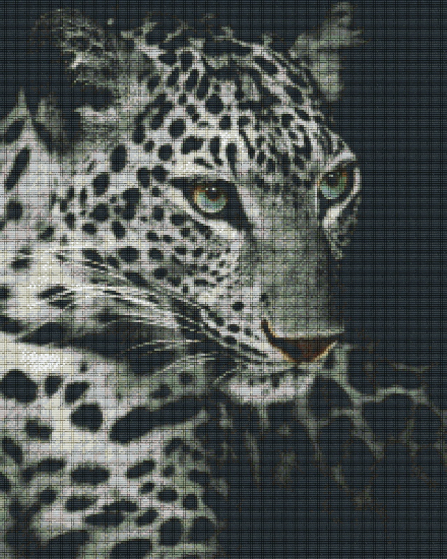 Pixelhobby Klassik Vorlage - Leopard s/w
