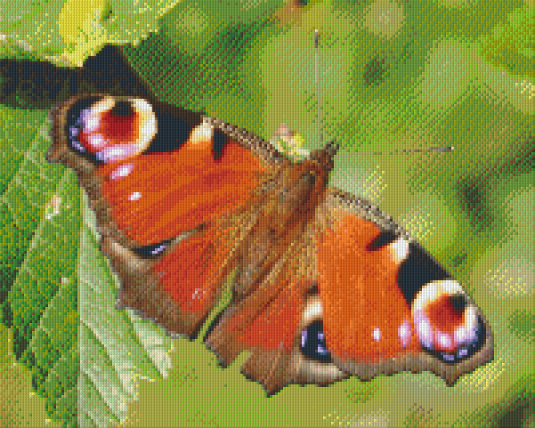 Pixel hobby classic set - butterfly