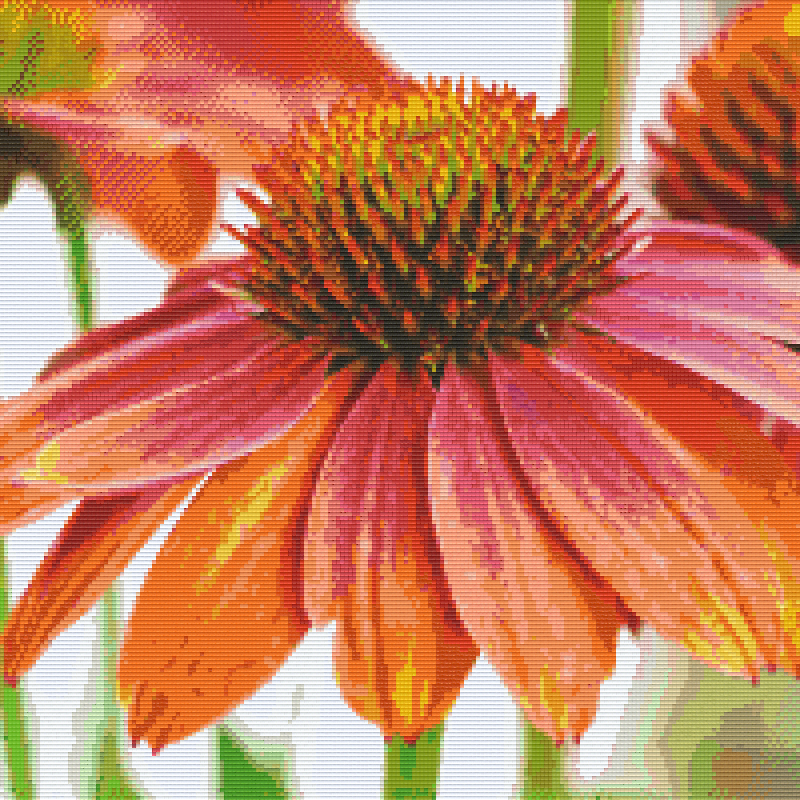 Pixelhobby Klassik Set - Echinacea