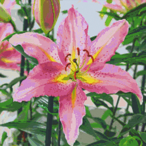 pixel lily flower Pixel hobby classic template