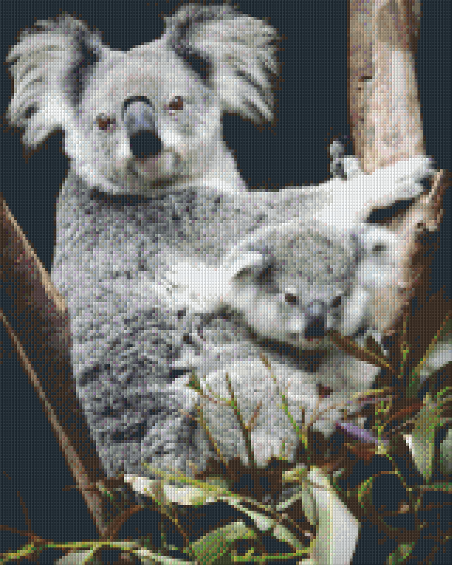 Pixelhobby Klassik Vorlage - Koalabärfamilie