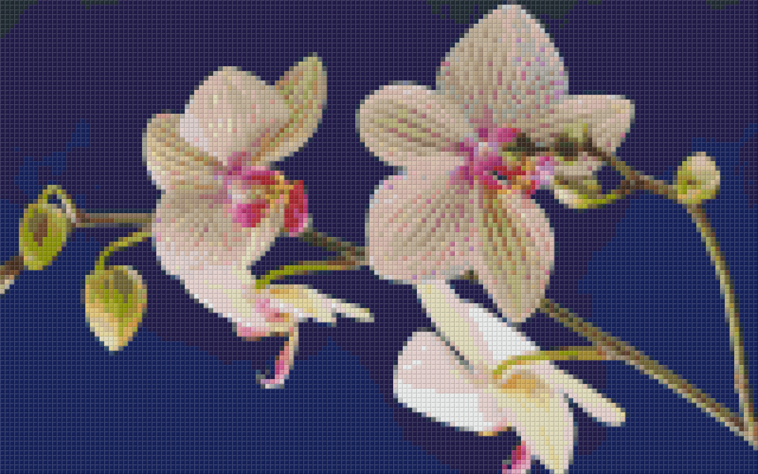 Pixelhobby Klassik Set - Orchideen