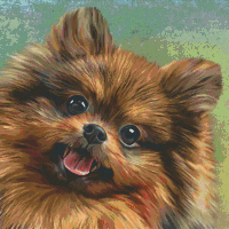 Pixelhobby Klassik Vorlage - Pomeranian