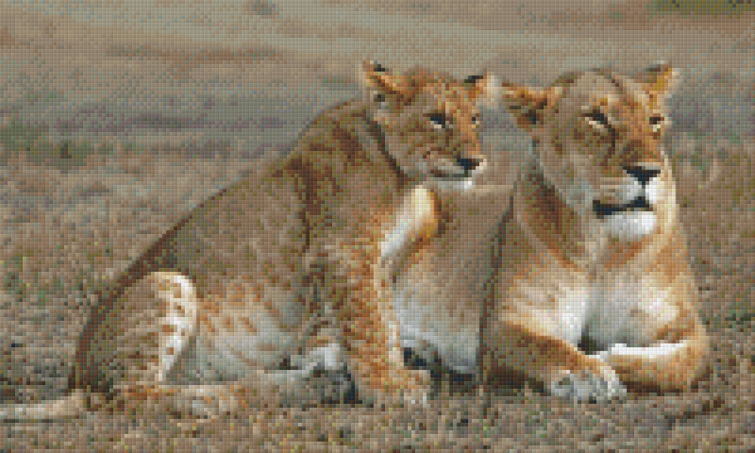 Pixelhobby classic set - two lions