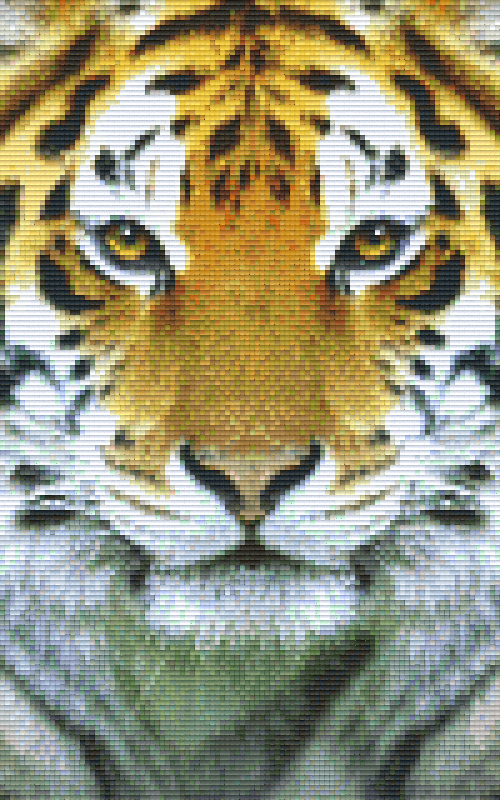 Pixel hobby classic set - tiger face