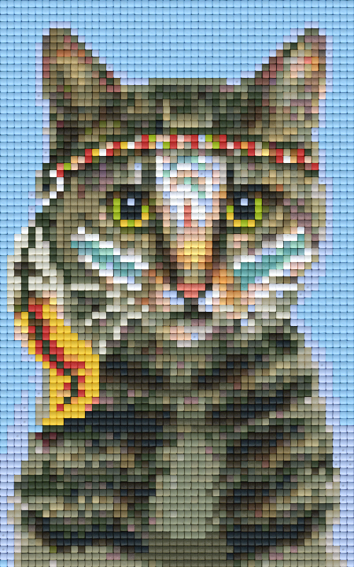 Pixel hobby classic template - indian kitten