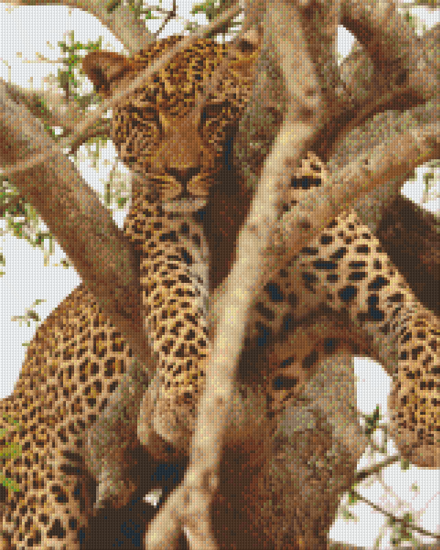 Pixelhobby Klassik Vorlage - Leopard im Baum