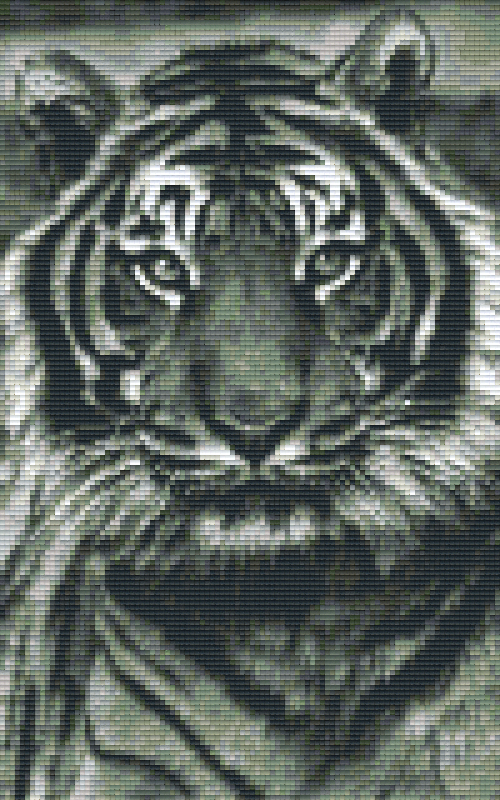 Pixelhobby Klassik Set - Tiger s/w