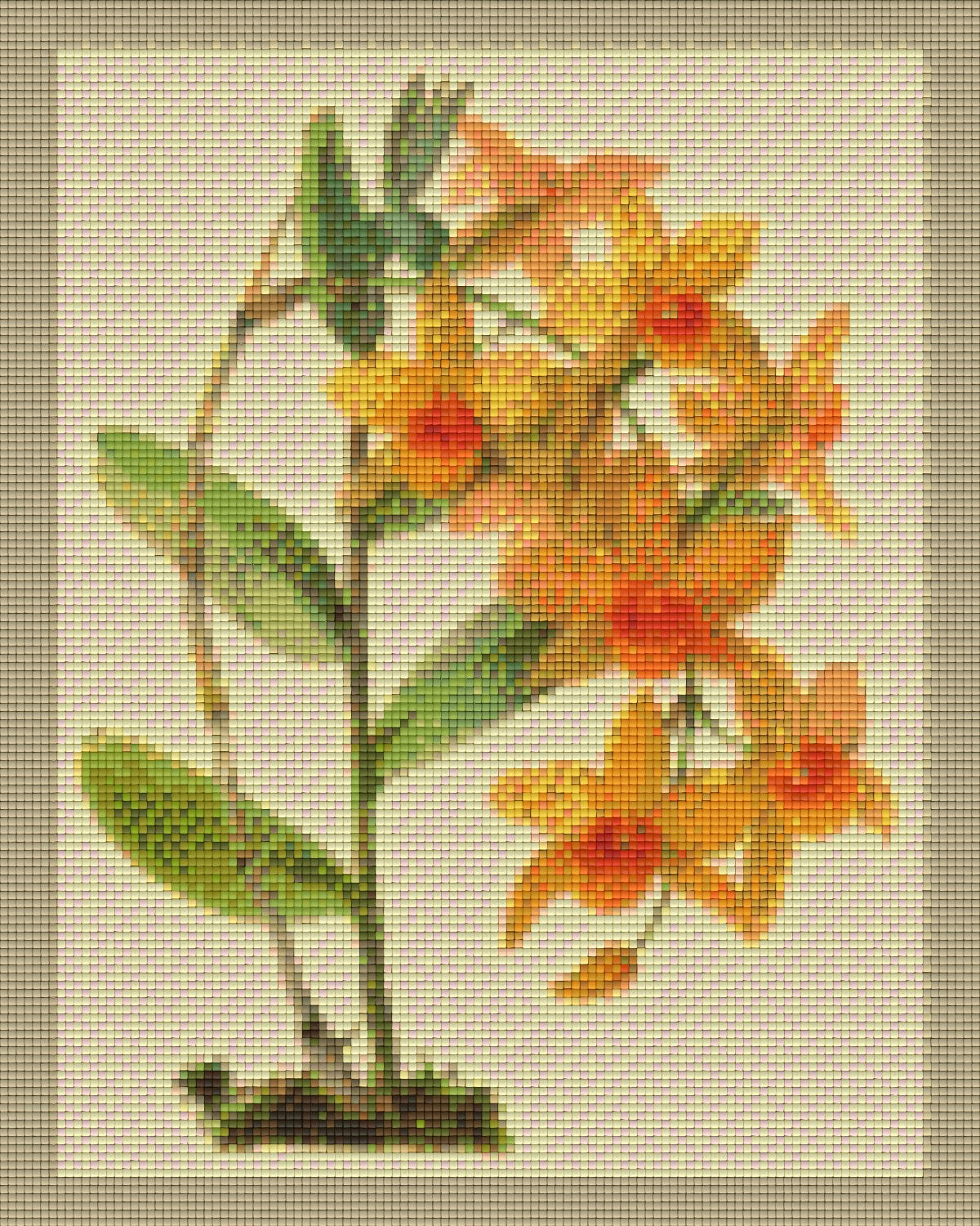 Pixelhobby Klassik Vorlage - Orchideenzweig im Rahmen