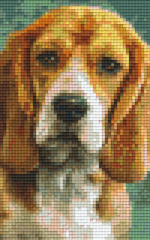 Pixelhobby Klassik Vorlage - Beagle