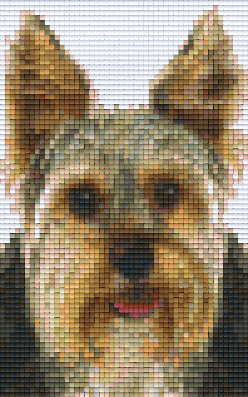 Pixel hobby classic template - dog