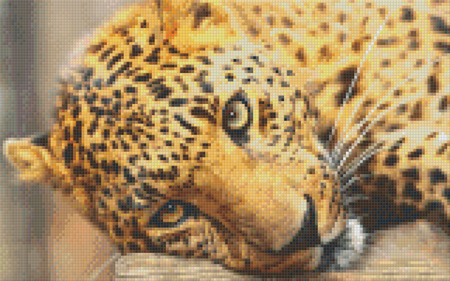 Pixel hobby classic set - panther