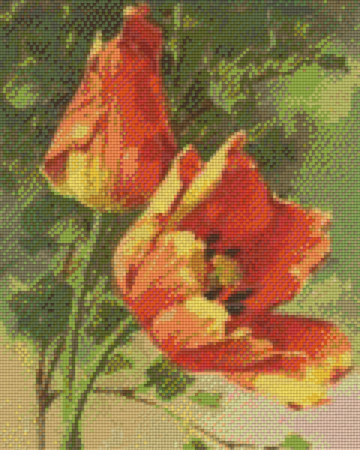 Pixelhobby Classic Set - Antique Tulips