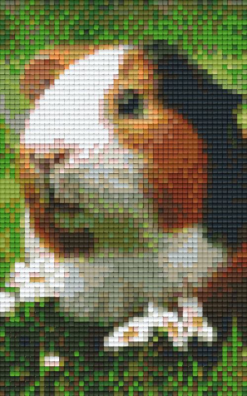 Pixel hobby classic template - guinea pig